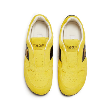 STACCATO EG703AM6 - DETAIL 4